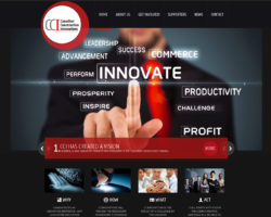 Canadian Construction Innovators