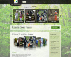 Landcare Niagara
