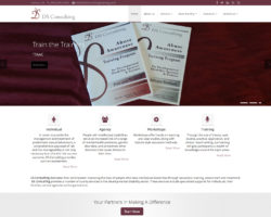 DS Consulting
