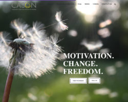 Community Addiction Services of Niagara