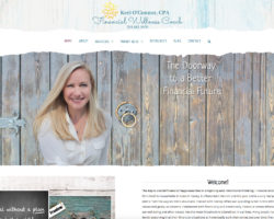 The Financial Wellness Coach