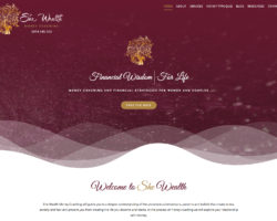 She Wealth Money Coaching